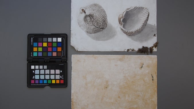 A Watercolour from the A la Ronde Shell Gallery after being cleaned